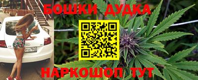 прущие крисы Камышлов