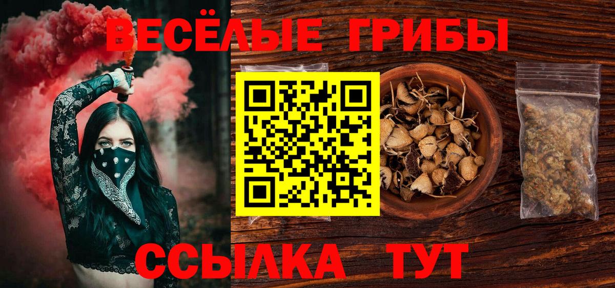 Псилоцибиновые грибы MAGIC MUSHROOMS  Вход с VPN  Туапсе  Псилоцибиновые грибы мухоморы 